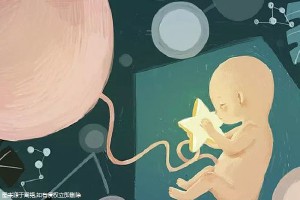 有偿同志供卵咨询怎么找